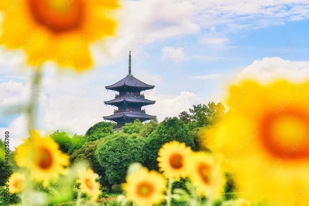 国分寺市の街並み
